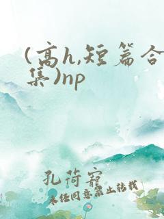 (高h,短篇合集)np