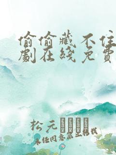 偷偷藏不住电视剧在线免费看