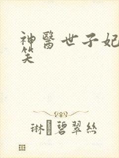 神医世子妃吴笑笑