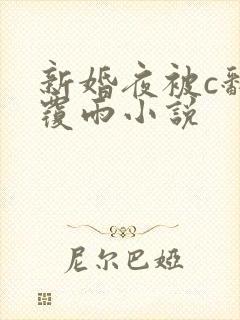 新婚夜被c翻云覆雨小说