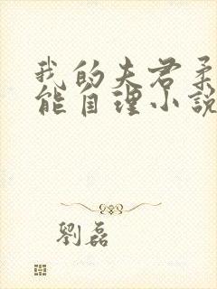 我的夫君柔弱不能自理小说