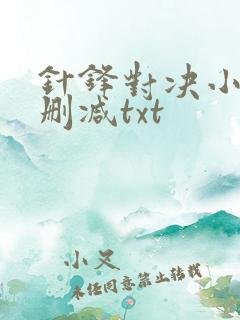 针锋对决小说未删减txt