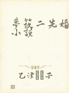 梦筱二先婚后爱小说