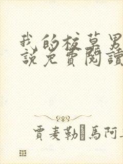 我的校草男友小说免费阅读