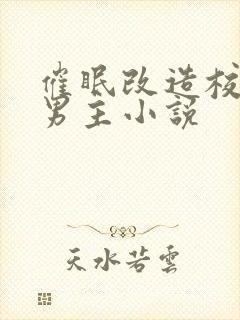 催眠改造校霸双男主小说