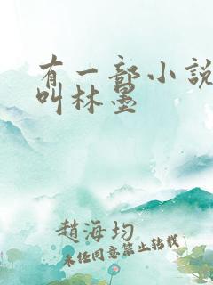 有一部小说主角叫林墨