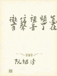 微信视频怎么没有声音了在哪里调