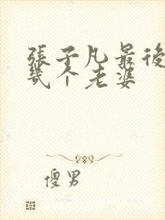 张子凡最后娶了几个老婆