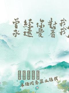 曾经你对我说你永远爱着我是什么歌