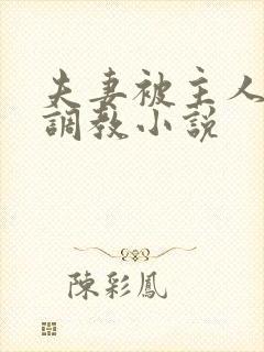 夫妻被主人一起调教小说