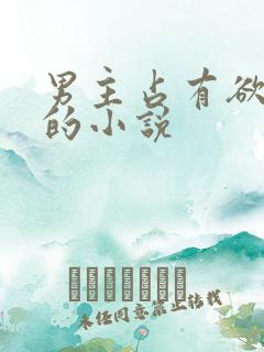 男主占有欲很强的小说