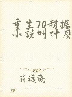 重生70赵振国小说叫什么名字