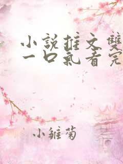 小说推文双女主一口气看完