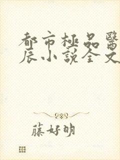 都市极品医神叶辰小说全文阅读