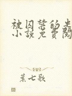 被囚禁的光明神小说免费阅读