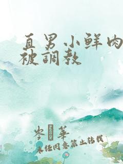 直男小鲜肉小陈被调教