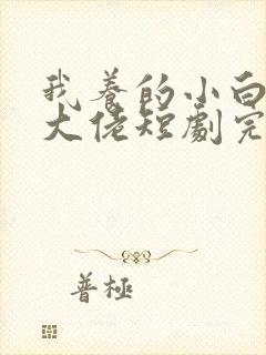 我养的小白脸是大佬短剧完整版