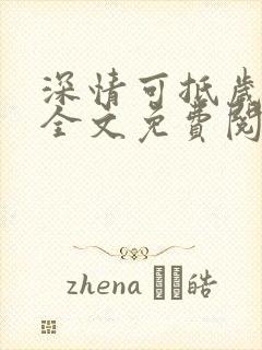 深情可抵岁月长全文免费阅读小说