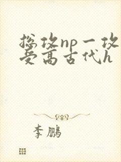 总攻np一攻多受高古代h