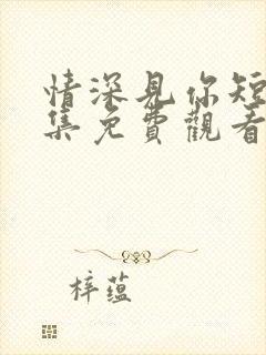 情深见你短剧全集免费观看