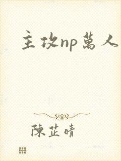 主攻np万人迷