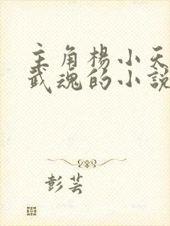 主角杨小天穿越武魂的小说