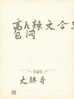 高h辣文合集书包网