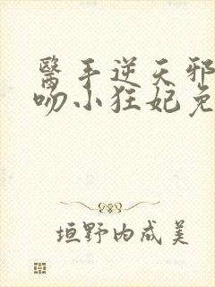 医手逆天邪王毒吻小狂妃免费阅读