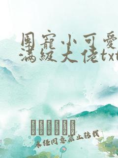 团宠小可爱成了满级大佬txt下载