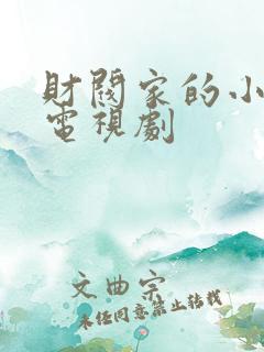 财阀家的小儿子电视剧