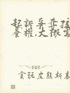 起诉争夺孩子抚养权,大概需要多少钱