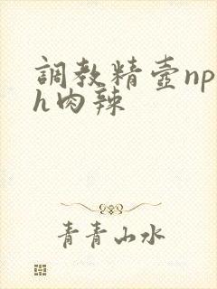 调教精壶np高h肉辣