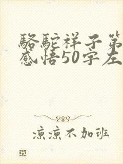 骆驼祥子第一章感悟50字左右