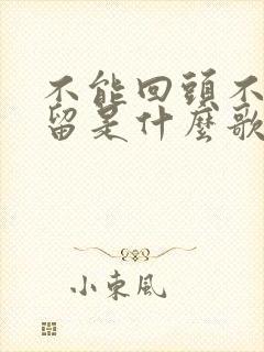 不能回头不能挽留是什么歌