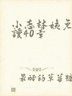 小志林姨免费阅读40章