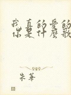 我真的爱的就是你是什么歌