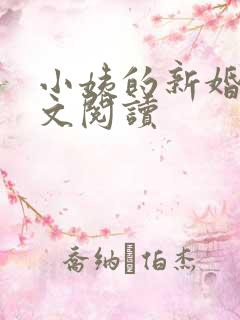 小姨的新婚夜全文阅读