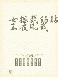 女总裁的贴身兵王夜风武