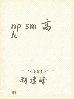 np sm 高h