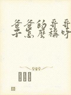 爸爸的哥哥的妻子怎么称呼