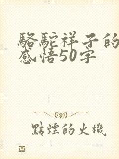 骆驼祥子的阅读感悟50字