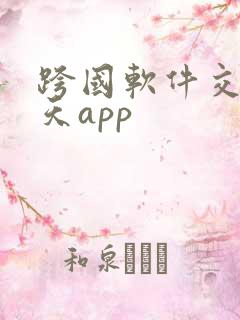 跨国软件交友聊天app