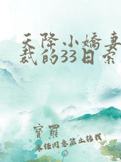 天降小娇妻,总裁的33日索情