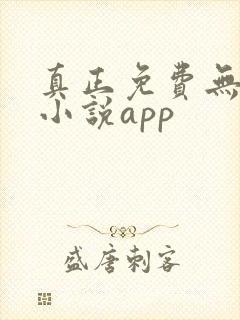 真正免费无广告小说app