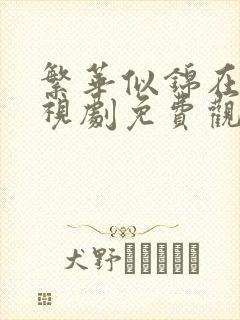 繁华似锦在线电视剧免费观看