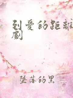 到爱的距离电视剧