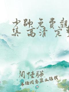 少帅免费观看全集 高清 完整