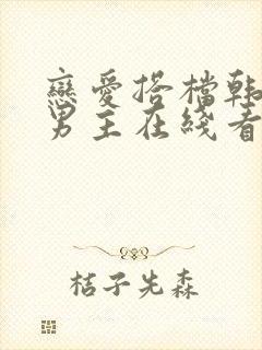 恋爱搭档韩剧双男主在线看