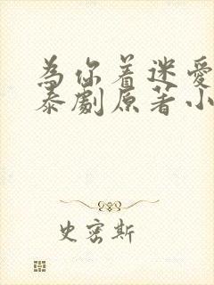 为你着迷爱龙奈泰剧原著小说