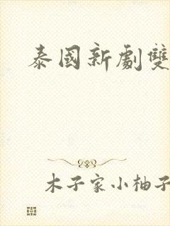 泰国新剧双女主